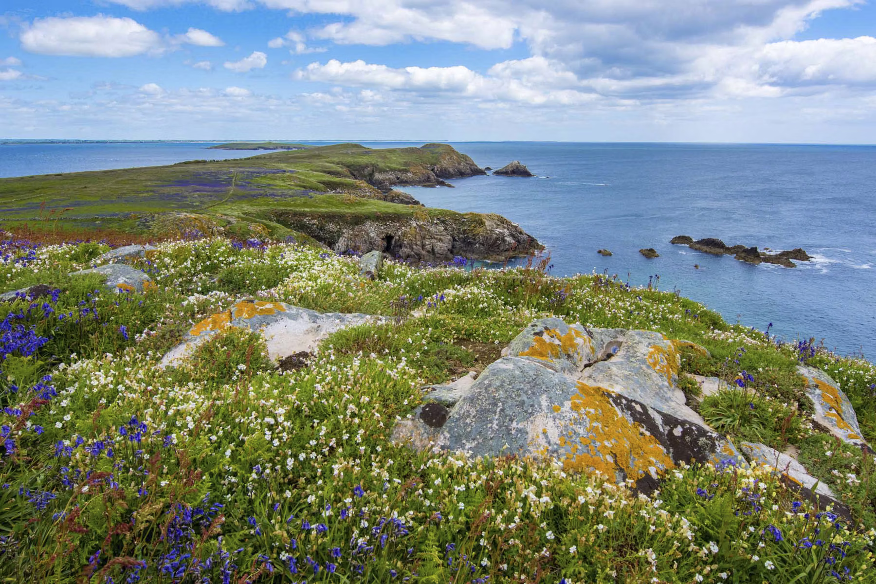 Saltee Island - Ireland (2015)