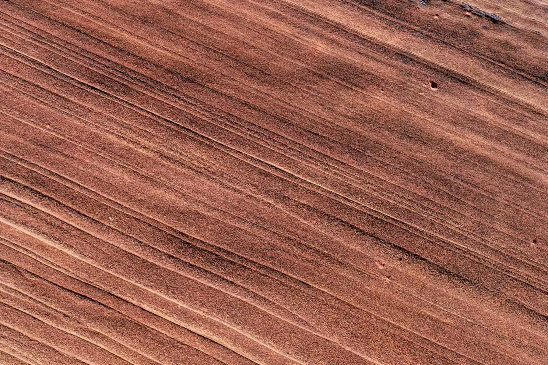Wire Pass Trailhead - Utah - USA (2024)